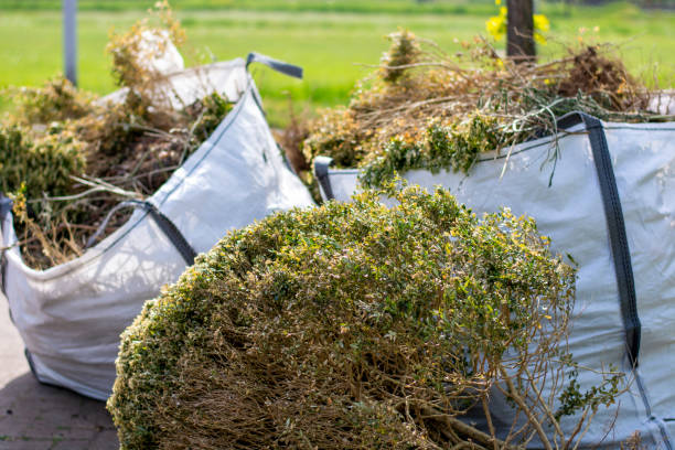 Best Same-Day Junk Removal  in Oakridge, OR